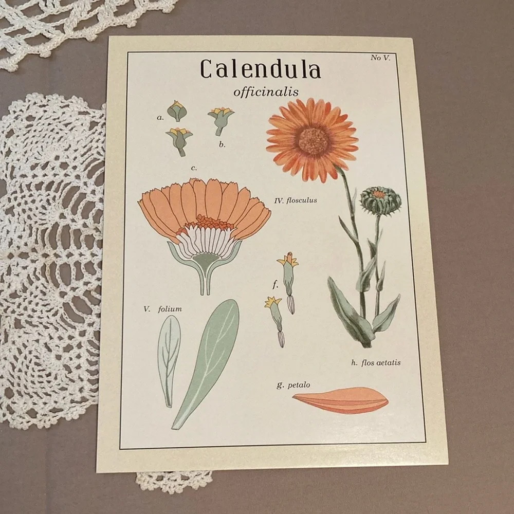 New IKEA Vintage Flowers Botanical Prints Set By Maria Mendez